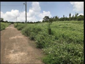 Bán trang trại khu nghỉ dưỡng tại khu phố 3, lê khả phiêu, 6,8 tỷ, 2100m2, chính chủ giá tốt