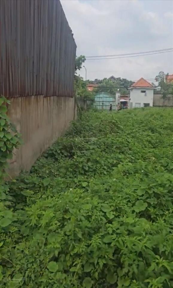 Bán đất tại trương đình hội, quận 8, tp. hcm, giá cực chất 189 tỷ, diện tích 3150m2 thổ cư 100%