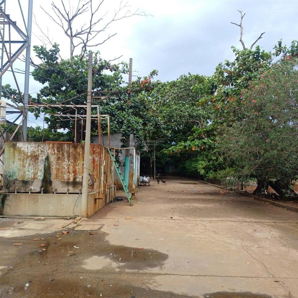 Cho thuê kho xưởng mặt tiền nguyễn cửu phú, bình chánh, giá 190tr,  0919 228 ***