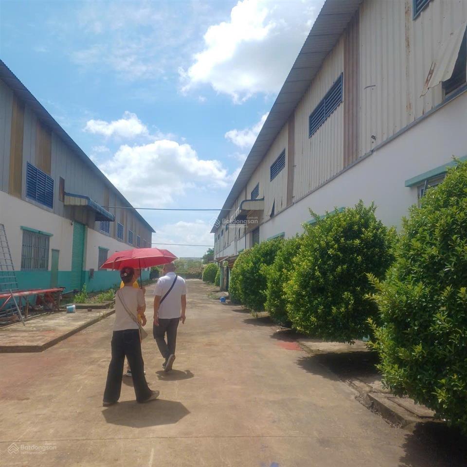 Cho thuê nhà xưởng giá rẻ đức hòa hạ, đức hòa, long an,  0919 228 ***