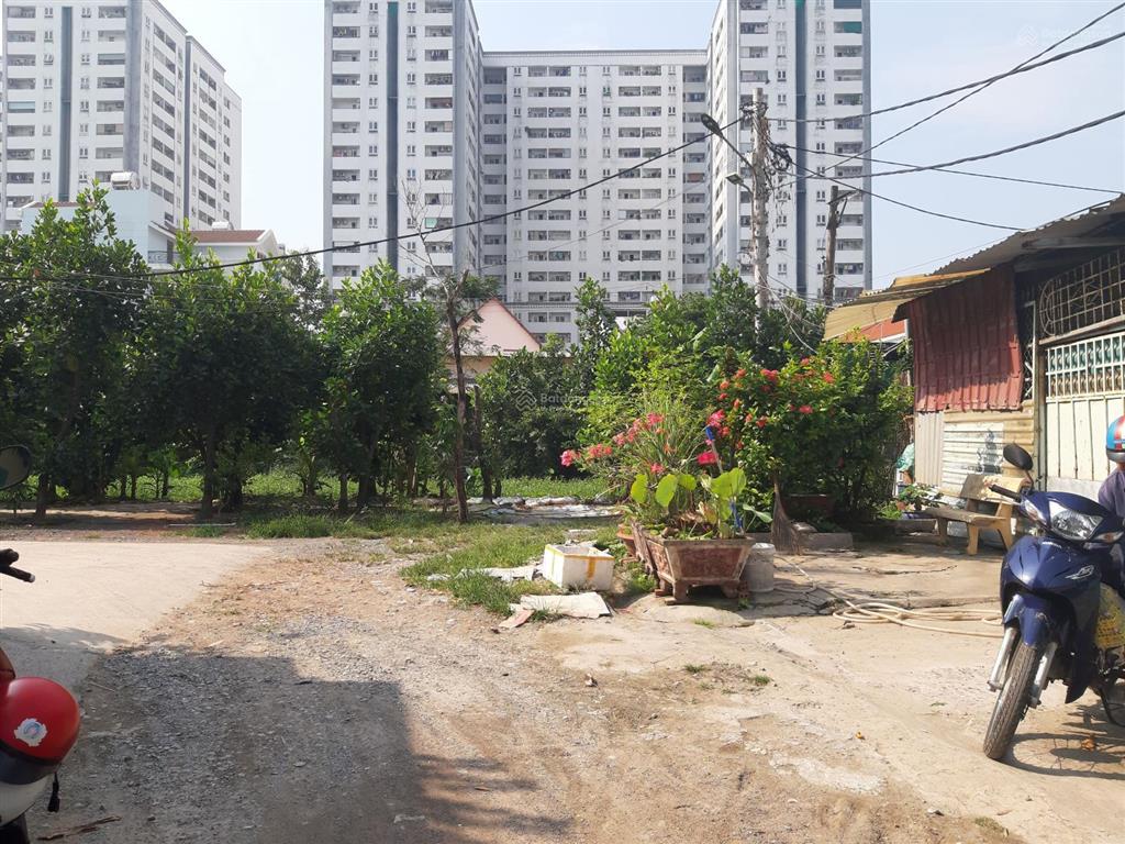 Cần bán lô đất 28 x25 hẻm 181 hoàng ngân p16 q8 tphcm