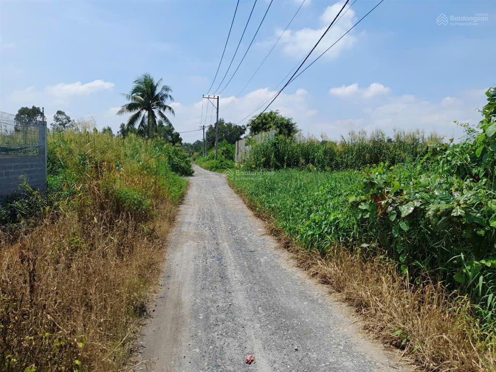 Cần bán gấp lô đất mặt tiền hẻm trần đại nghĩa, lê minh xuân, bình chánh, dt 6290m cln