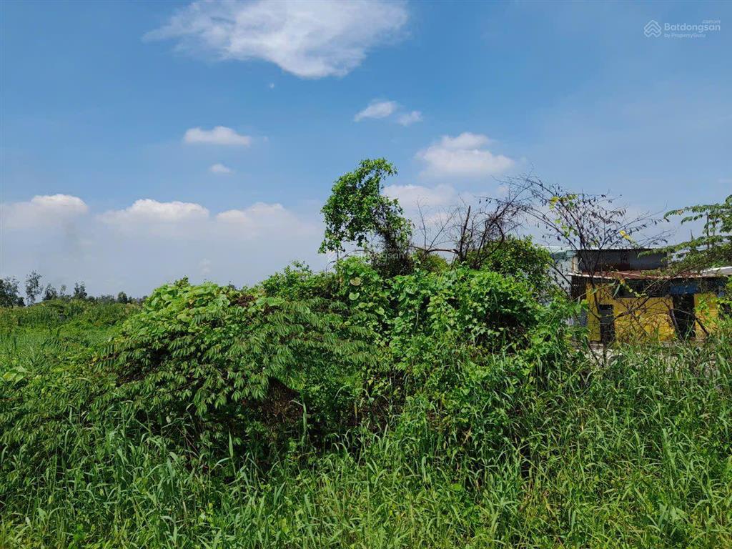 Cần bán gấp lô đất mặt tiền hẻm trần đại nghĩa, lê minh xuân, bình chánh, dt 6290m cln