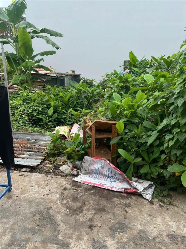 Đất góc hẻm trần đại nghĩa 8,2 x 20