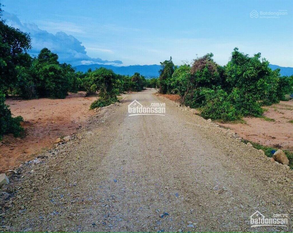 Bán đất tại hàm đức, 800 triệu, 1200 m2, hàng hot
