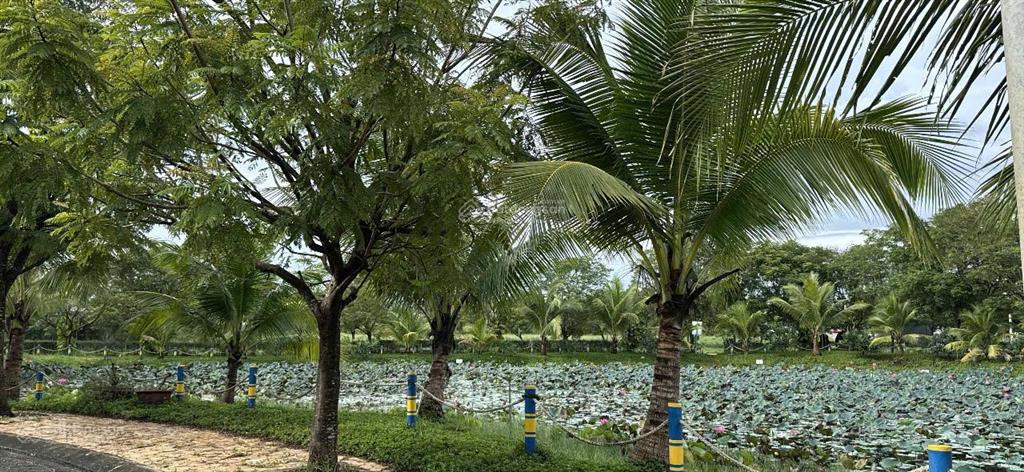 Bán nhà 1 trệt 1 lầu gần kcn hàm kiệm 1 đường nhựa ô tô giá chỉ 800 triệu nhà mới hoàn thiện