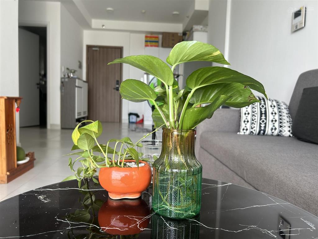 Bán căn hộ ricca q9 1pn + 1wc, full nội thất 56,8m2  0902 320 ***
