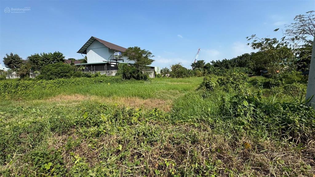 Bán 2000m2 đất giáo dục 1/ sông vàm thuật, an phú đông sát sông vàm thuật giá 10 triệu/m2