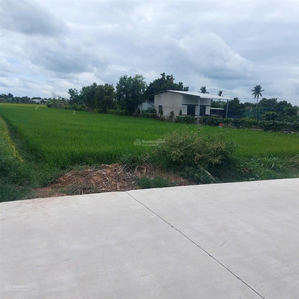 Bán đất mt đường cây điệp, 2000m2 có 180m2 thổ cư, nhựt chánh, bến lức, giá tốt