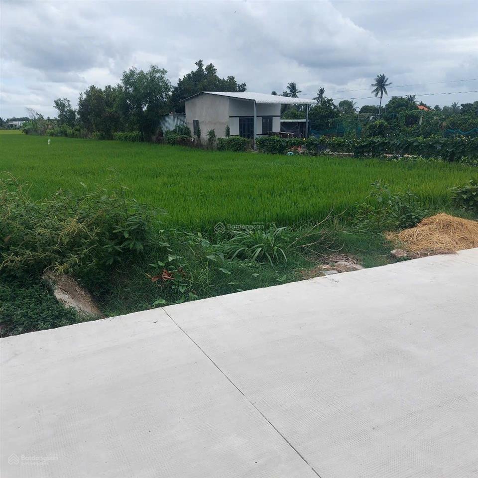 Bán đất mt đường cây điệp, 2000m2 có 180m2 thổ cư, nhựt chánh, bến lức, giá tốt