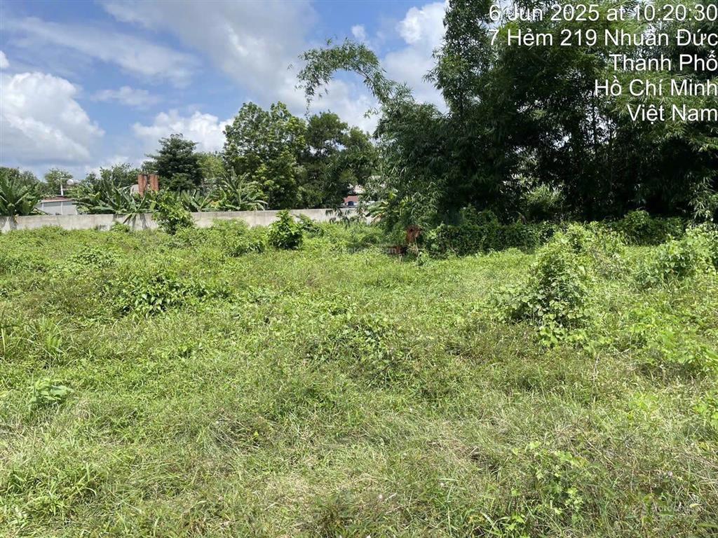 Mt đường nhựa nhuận đức huyện củ chi, dt 1500m2 thổ cư + 2848m2 vườn bên hông và phía sau có đường