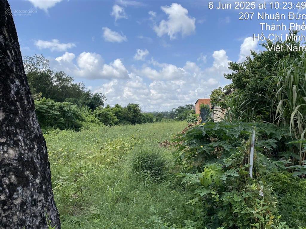 Mt đường nhựa nhuận đức huyện củ chi, dt 1500m2 thổ cư + 2848m2 vườn bên hông và phía sau có đường