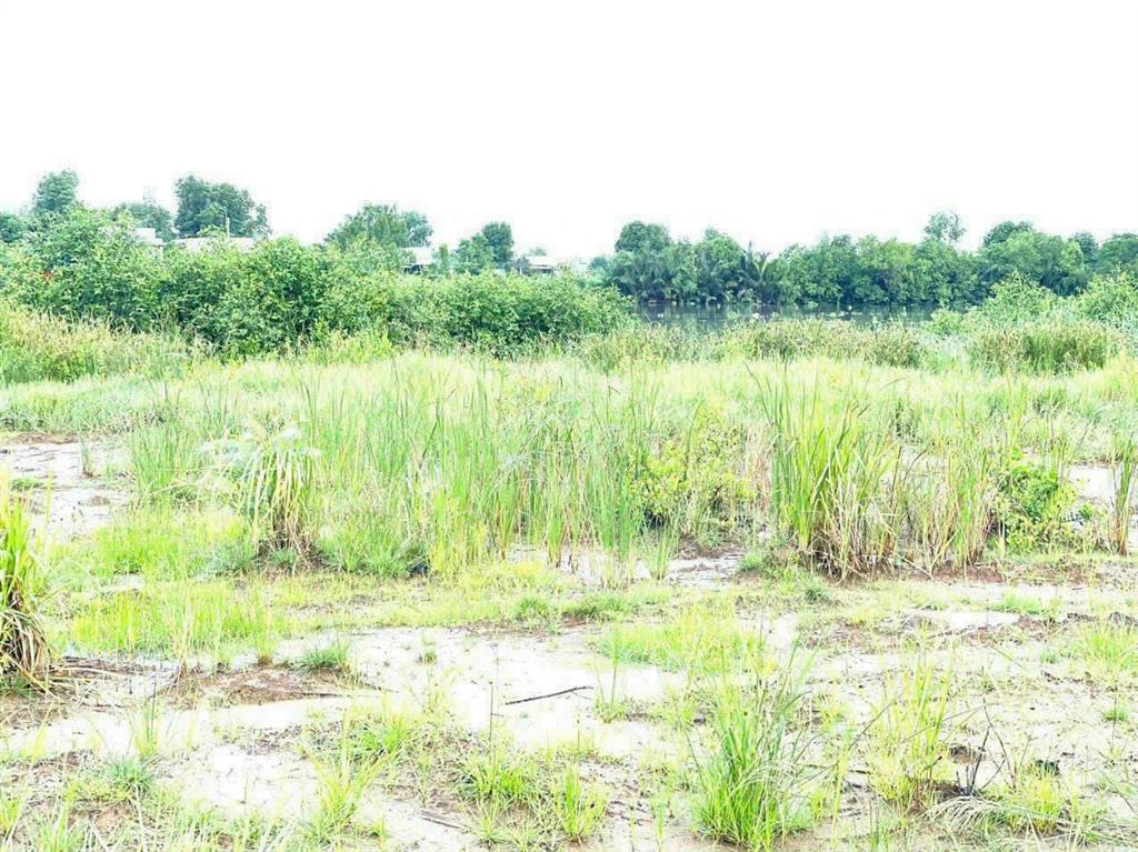 Đất đẹp hiệp phước, nhà bè 2 mặt tiền đường & sông thích hợp làm vườn, nghỉ dưỡng giá 22,5 tỷ