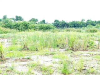 Đất đẹp hiệp phước, nhà bè 2 mặt tiền đường & sông thích hợp làm vườn, nghỉ dưỡng giá 22,5 tỷ