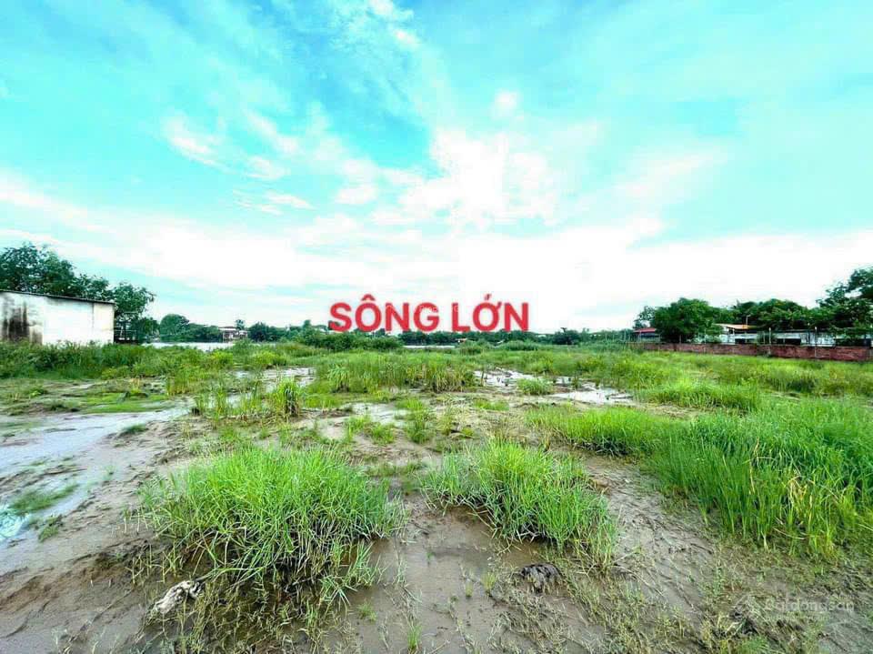 Đất đẹp hiệp phước, nhà bè 2 mặt tiền đường & sông thích hợp làm vườn, nghỉ dưỡng giá 22,5 tỷ