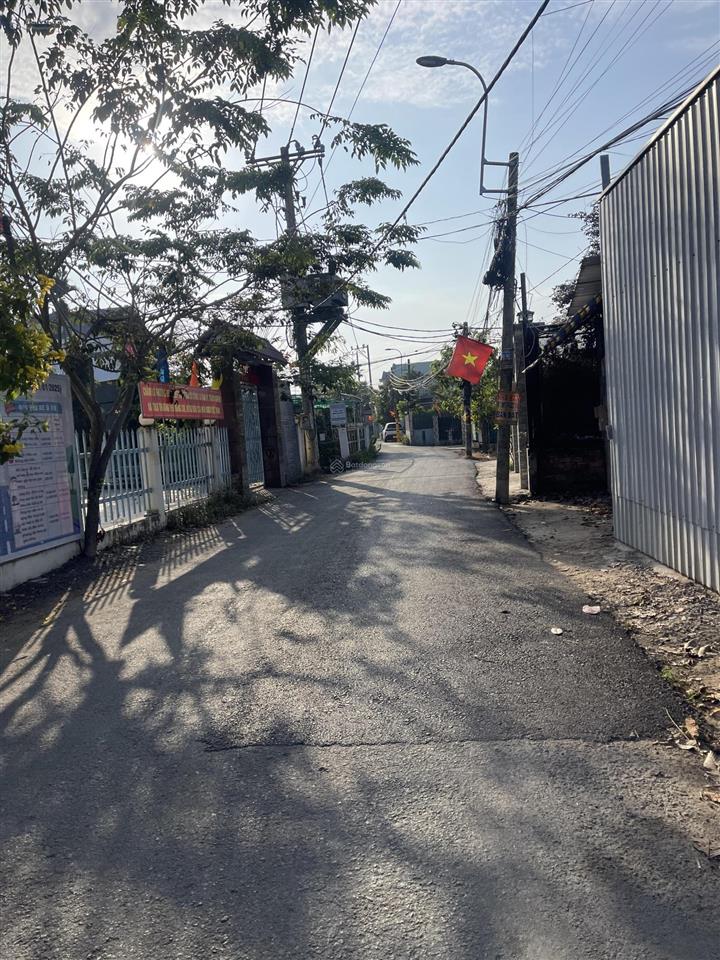 Mt đường nhựa 4b, xã đa phước, bình chánh dt (12 x 50m) 601m2 cây lâu năm
