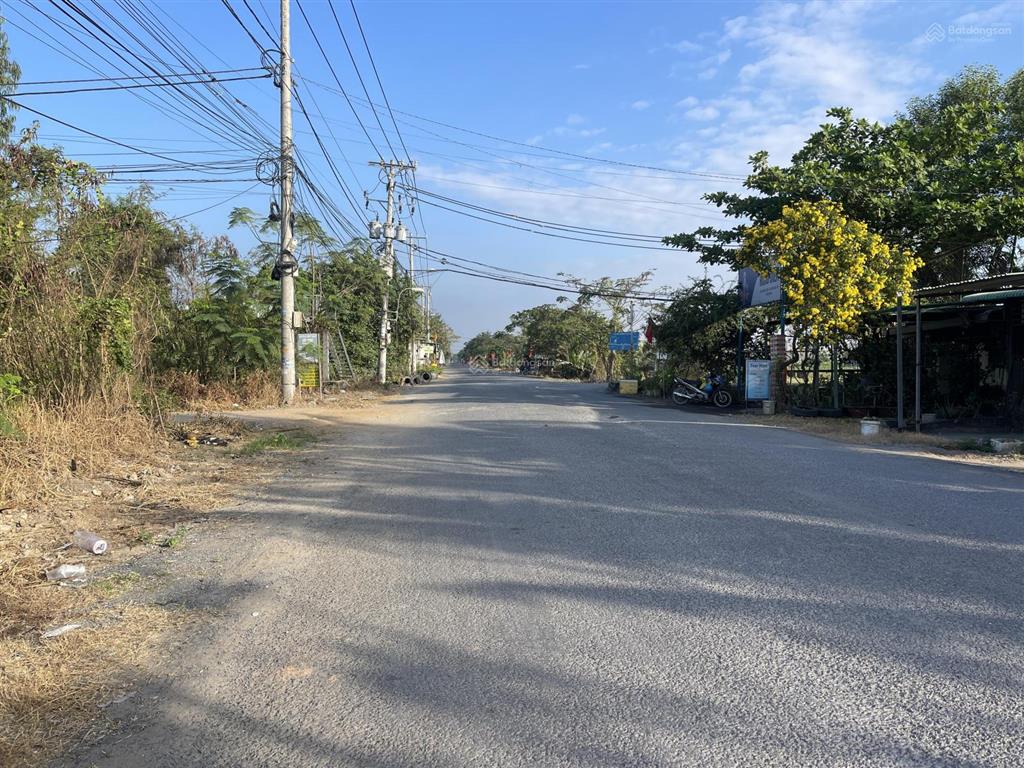 Mt đường nhựa 4b, xã đa phước, bình chánh dt (12 x 50m) 601m2 cây lâu năm