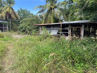 Chủ cần bán lô đất 4,6 hecta xã hàm liêm, hàm thuận bắc bình thuận( 150m x 213m ) 4,6 hecta