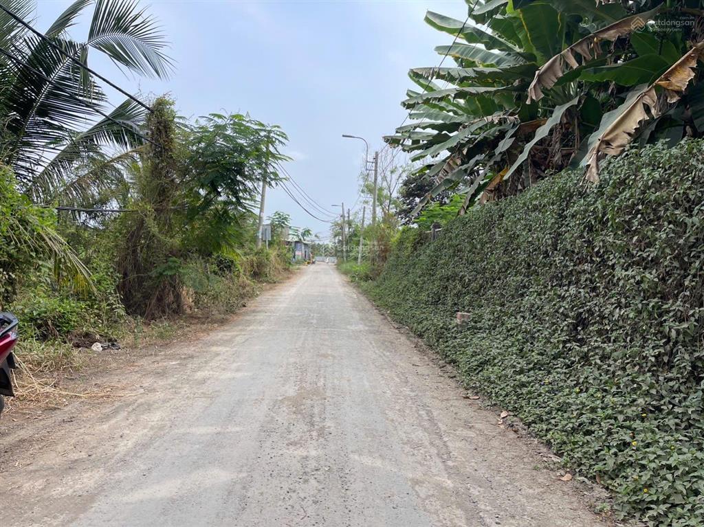 Lô góc 2 mt đường nhựa phía sau view kênh xã hưng long (qui đức cũ) huyện bình chánh dt 2000m2