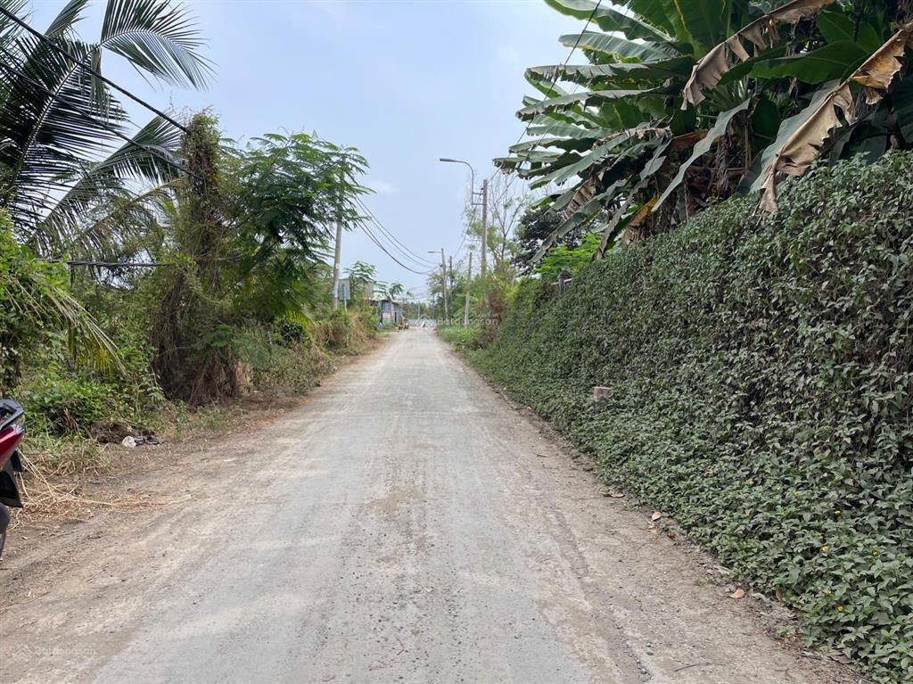 Lô góc 2 mt đường nhựa phía sau view kênh xã hưng long (qui đức cũ) huyện bình chánh dt 2000m2