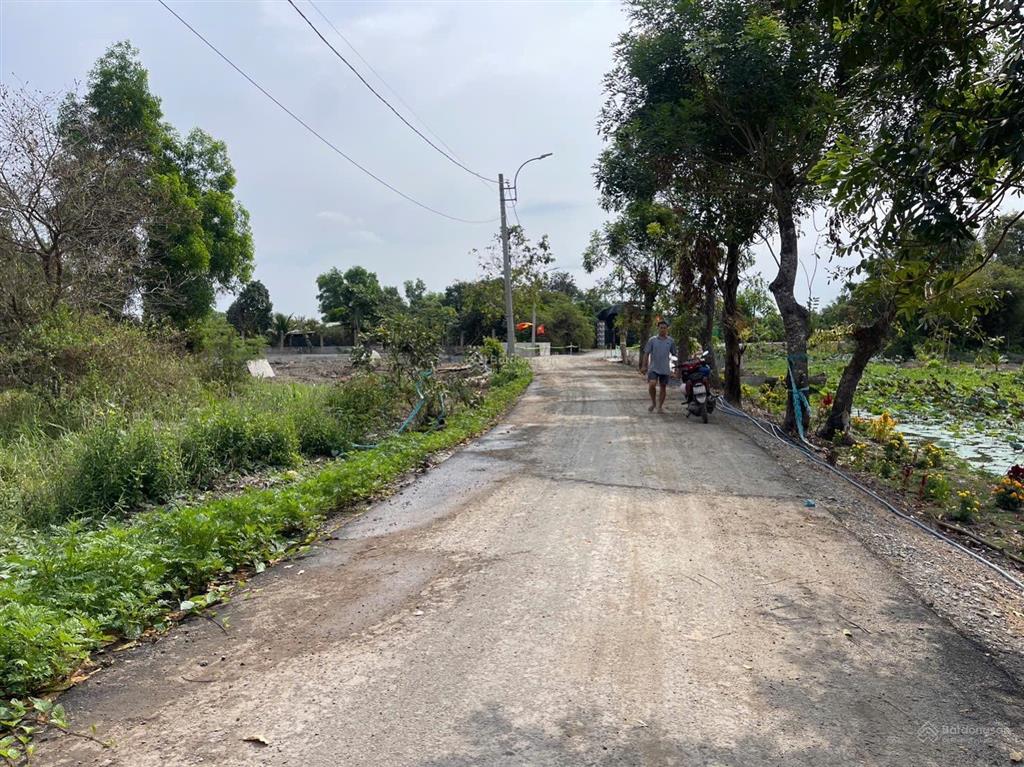 Lô góc 2 mt đường nhựa phía sau view kênh xã hưng long (qui đức cũ) huyện bình chánh dt 2000m2