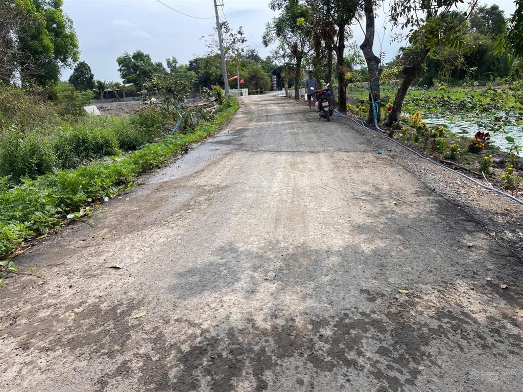 Lô góc 2 mt đường nhựa phía sau view kênh xã hưng long (qui đức cũ) huyện bình chánh dt 2000m2