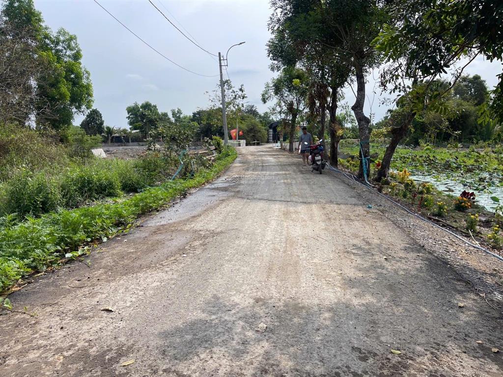 Lô góc 2 mt đường nhựa phía sau view kênh xã hưng long (qui đức cũ) huyện bình chánh dt 2000m2