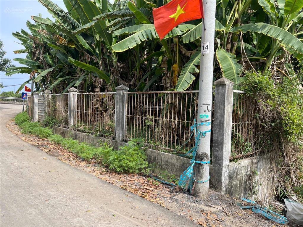 Lô góc 2 mt đường nhựa phía sau view kênh xã hưng long (qui đức cũ) huyện bình chánh dt 2000m2