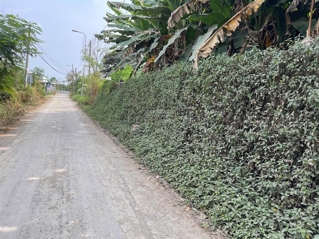 Lô góc 2 mt đường nhựa phía sau view kênh xã hưng long (qui đức cũ) huyện bình chánh dt 2000m2