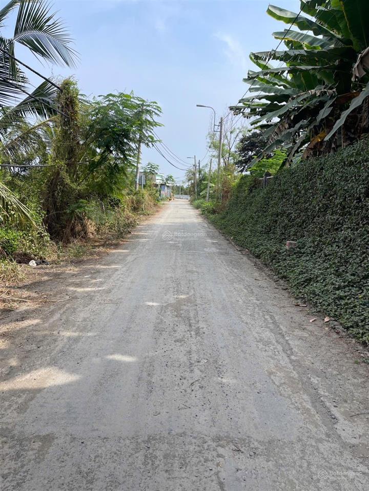 Lô góc 2 mt đường nhựa phía sau view kênh xã hưng long (qui đức cũ) huyện bình chánh dt 2000m2