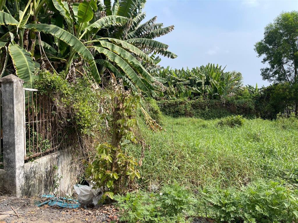 Lô góc 2 mt đường nhựa phía sau view kênh xã hưng long (qui đức cũ) huyện bình chánh dt 2000m2