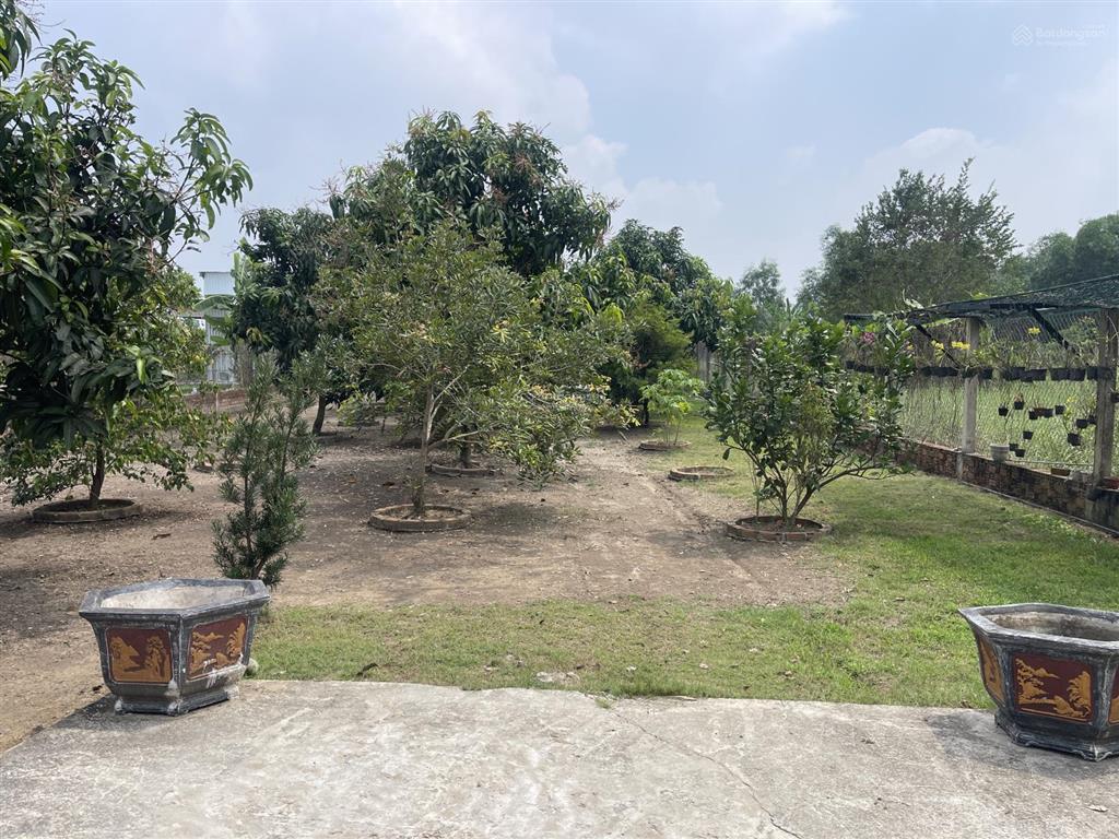 Nhà vườn mt đường nhựa xã hưng long, bình chánh, dt 1000m vườn (ngang 15m x dài 67m)