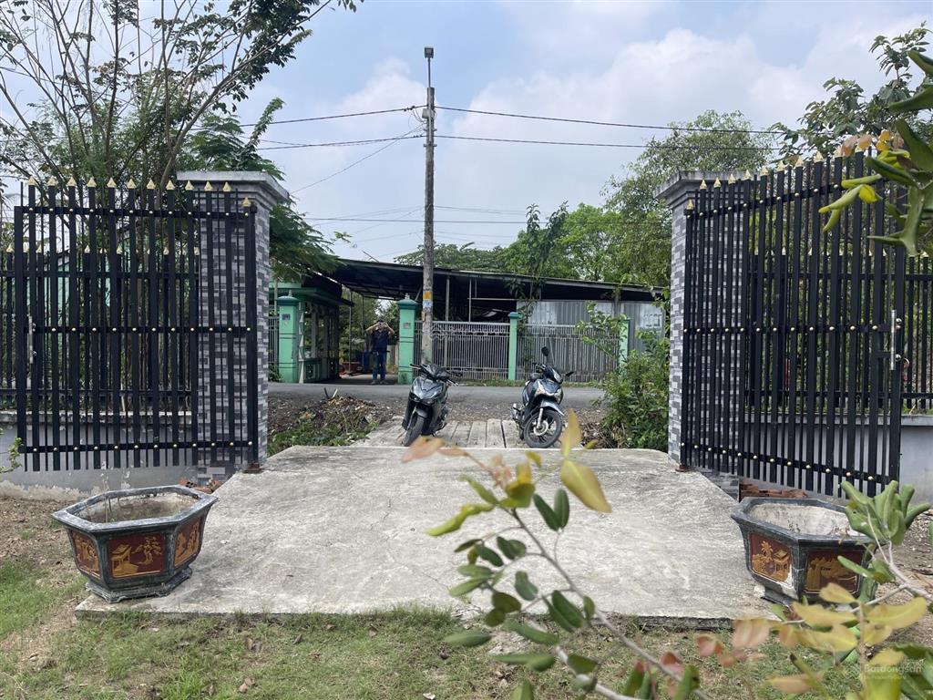Nhà vườn mt đường nhựa xã hưng long, bình chánh, dt 1000m vườn (ngang 15m x dài 67m)