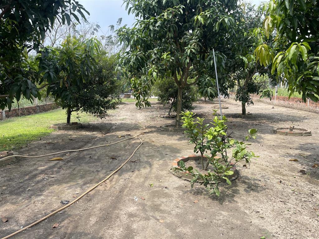 Nhà vườn mt đường nhựa xã hưng long, bình chánh, dt 1000m vườn (ngang 15m x dài 67m)