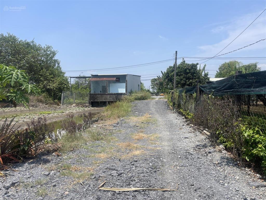 Nhà vườn 1600m có 300m thổ cư (xã hưng long mới) bình chánh, vị trí đường 5m xe ra vào thoải