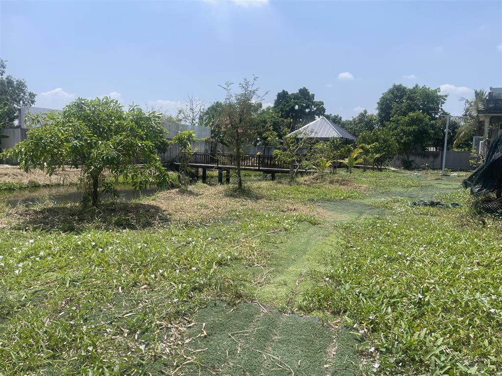 Nhà vườn 1600m có 300m thổ cư (xã hưng long mới) bình chánh, vị trí đường 5m xe ra vào thoải