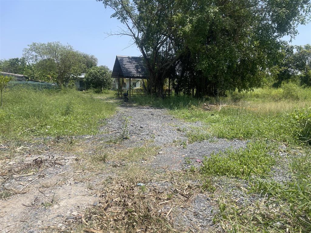 Nhà vườn 1600m có 300m thổ cư (xã hưng long mới) bình chánh, vị trí đường 5m xe ra vào thoải