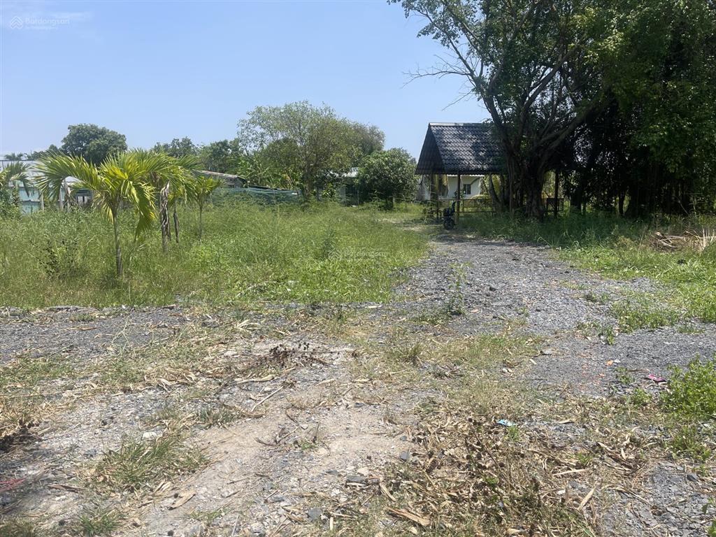 Nhà vườn 1600m có 300m thổ cư (xã hưng long mới) bình chánh, vị trí đường 5m xe ra vào thoải