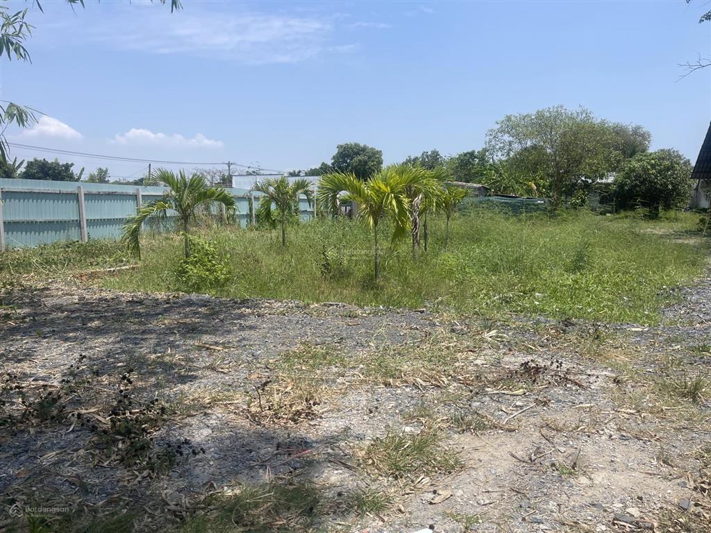 Nhà vườn 1600m có 300m thổ cư (xã hưng long mới) bình chánh, vị trí đường 5m xe ra vào thoải