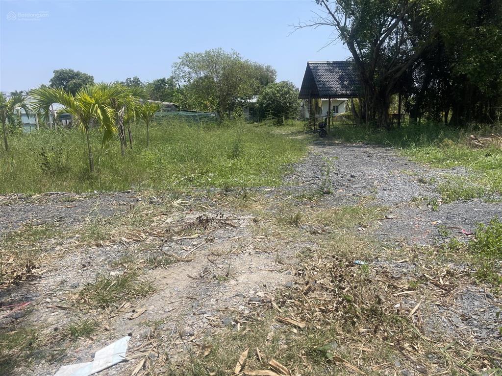 Nhà vườn 1600m có 300m thổ cư (xã hưng long mới) bình chánh, vị trí đường 5m xe ra vào thoải