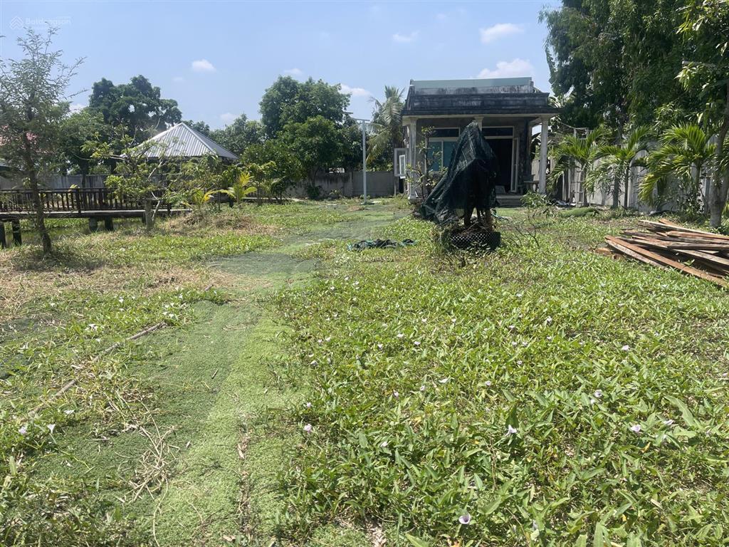Nhà vườn 1600m có 300m thổ cư (xã hưng long mới) bình chánh, vị trí đường 5m xe ra vào thoải
