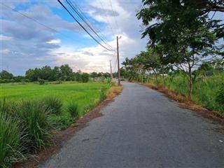 Khu dân cư xây dựng mới dt 1842m cây lâu năm đường nhựa thông thoáng giá 8,7 tỷ