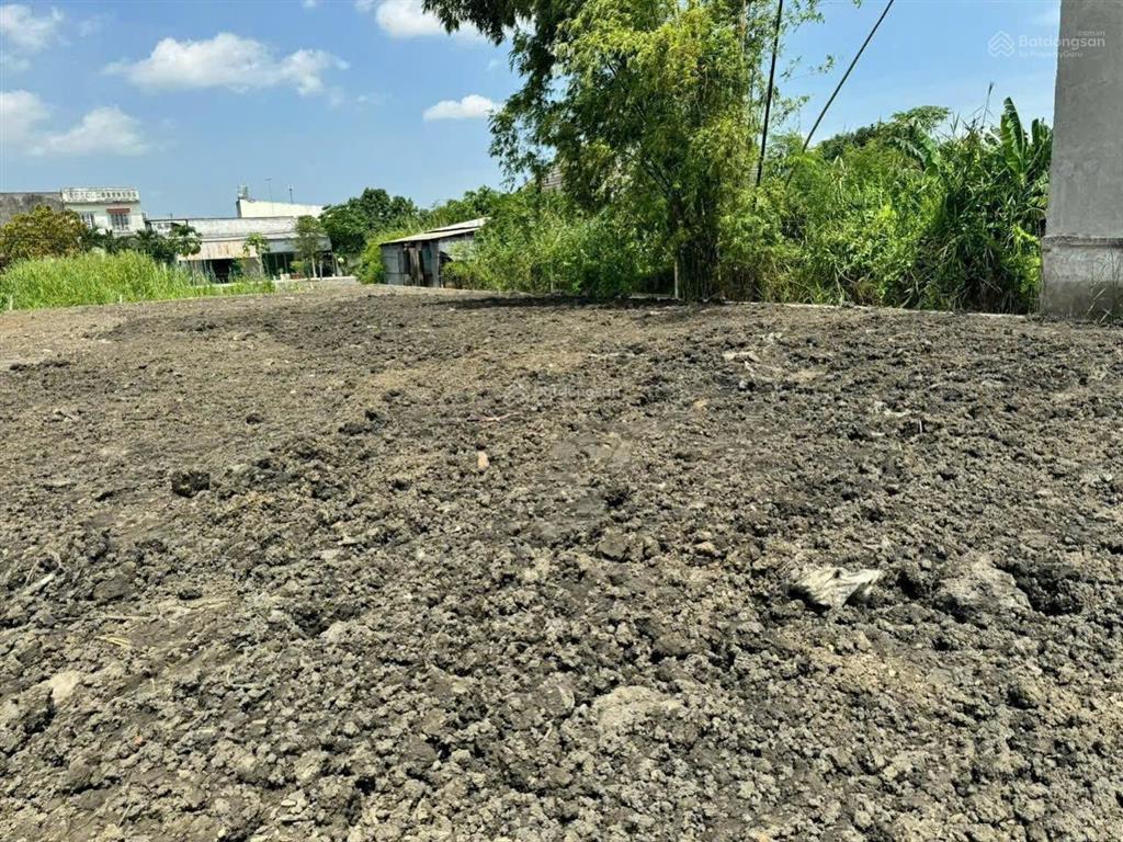 Bán đất vừa thổ vừa vườn 2 mặt tiền bê tông xã hưng long sổ 883m có 400m thổ cư và 483m vườn