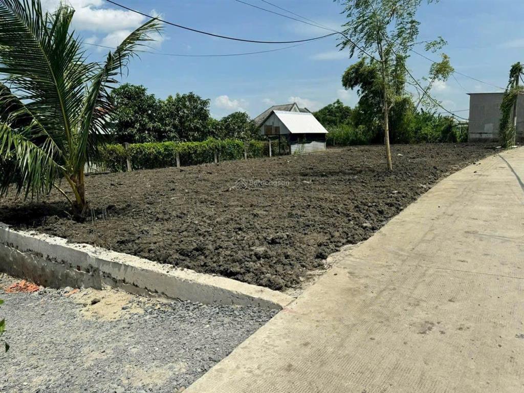 Bán đất vừa thổ vừa vườn 2 mặt tiền bê tông xã hưng long sổ 883m có 400m thổ cư và 483m vườn