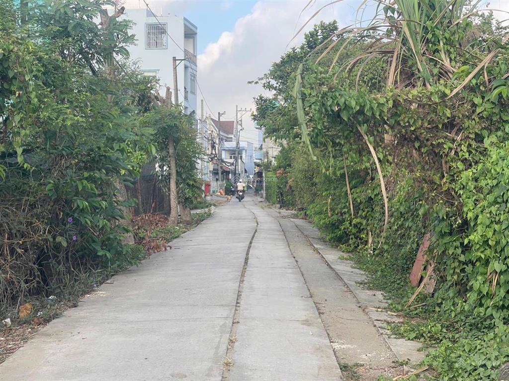 Đường bê tông cách mt ql50 đúng 100m xã đa phước bình chánh dt 1900m2 vườn có 250m thổ cư