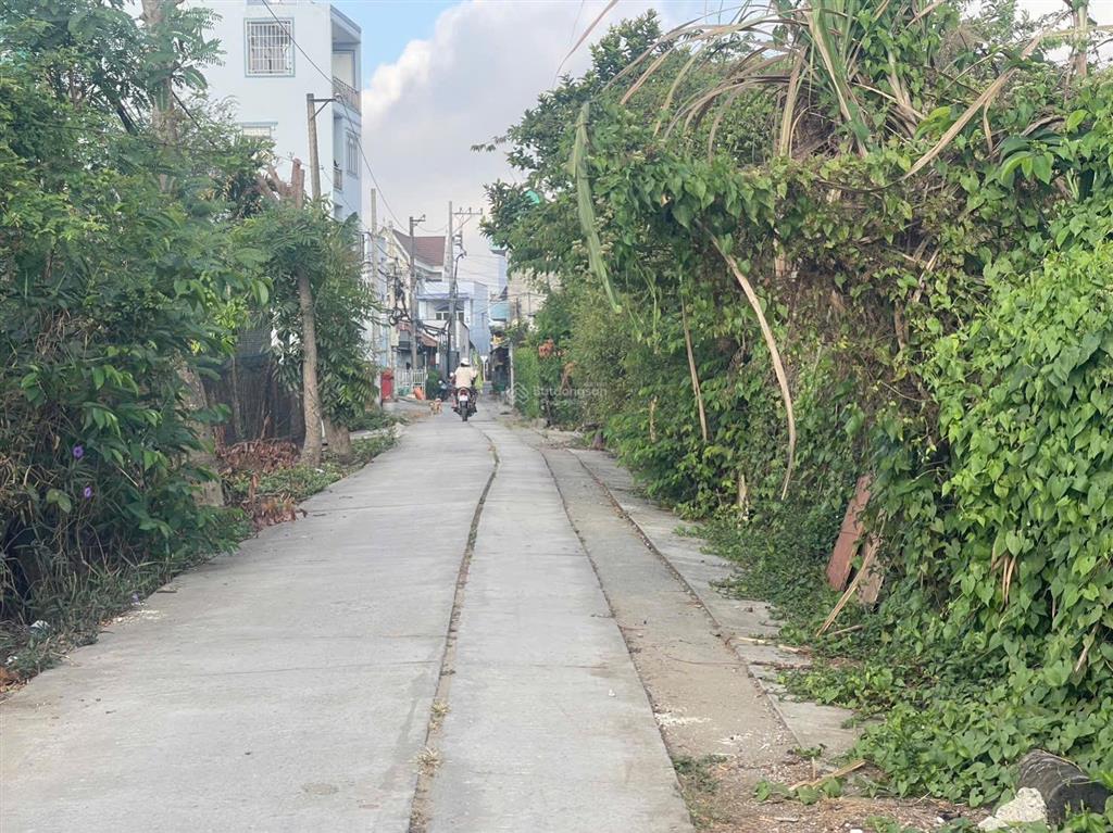 Đường bê tông cách mt ql50 đúng 100m xã đa phước bình chánh dt 1900m2 vườn có 250m thổ cư