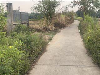 Cần bán lô đất vườn 1000m xã bình chánh dt (13m x 76m) 1000m vườn đường bê tông xe 7 chỗ