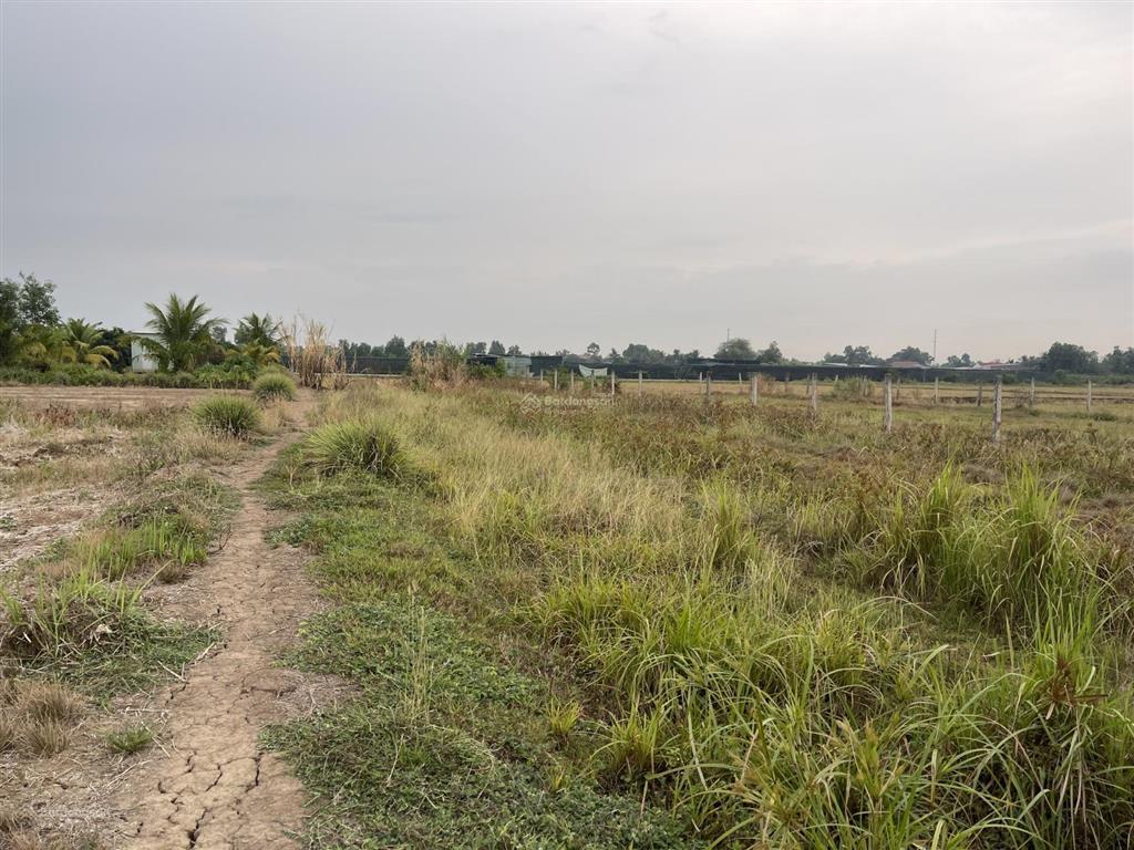 Cần bán lô đất vườn 1000m xã bình chánh dt (13m x 76m) 1000m vườn đường bê tông xe 7 chỗ