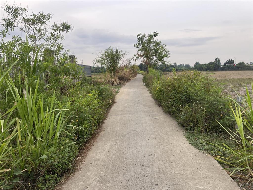 Cần bán lô đất vườn 1000m xã bình chánh dt (13m x 76m) 1000m vườn đường bê tông xe 7 chỗ