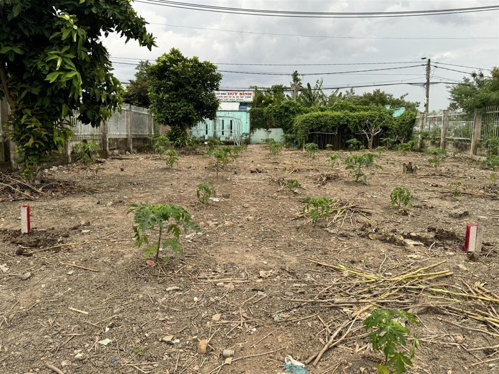Đất mặt tiền đường phạm tấn mườicách đoàn nguyễntuấn 100m dt  ( 15,5m x 47m ) 730m có 200m thổ cư